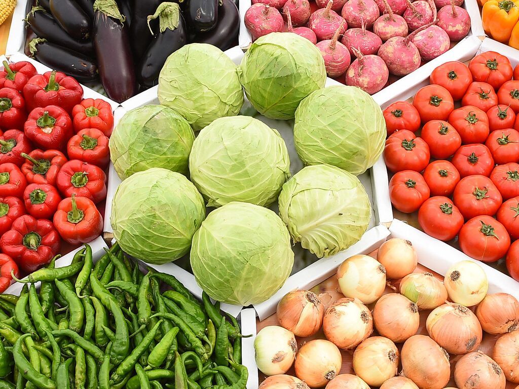 Уважаемые сельскохозяйственные товаропроизводители Катайского района.