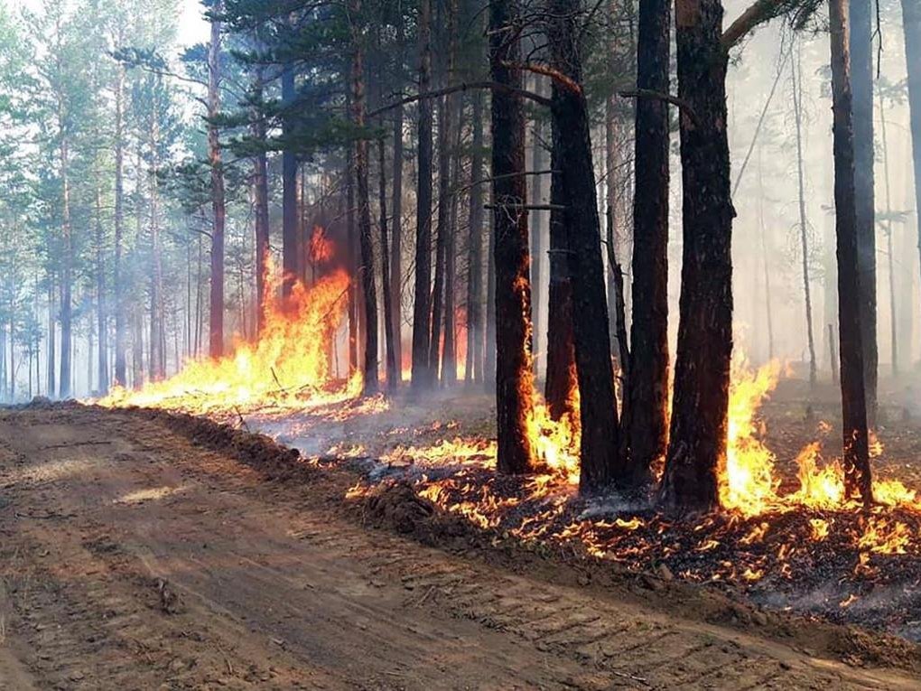 Памятка по правилам поведения и действиям населения при пожаре в населенном пункте или угрозе перехода природного пожара на населенный пункт (садоводство).