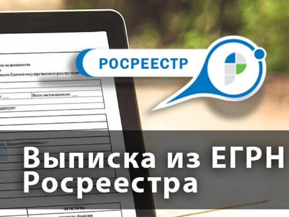 Лайфхак! Для защиты недвижимости от мошенников  вносим e-mail в ЕГРН.