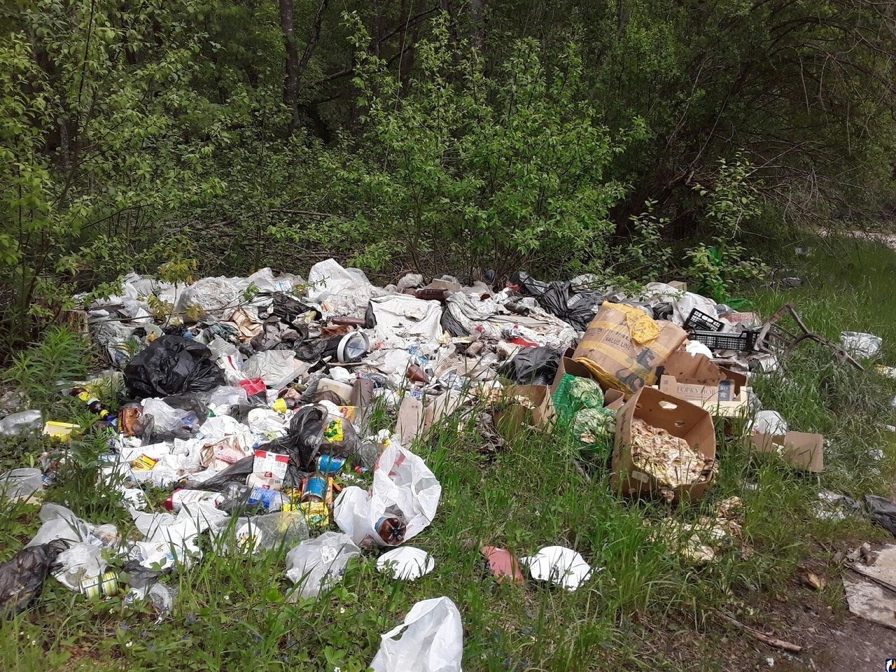 Прокуратура Катайского района в судебном порядке обратилась в защиту неопределенного круга лиц по вопросу рекультивации несанкционированной свалки в д. Гусиное.