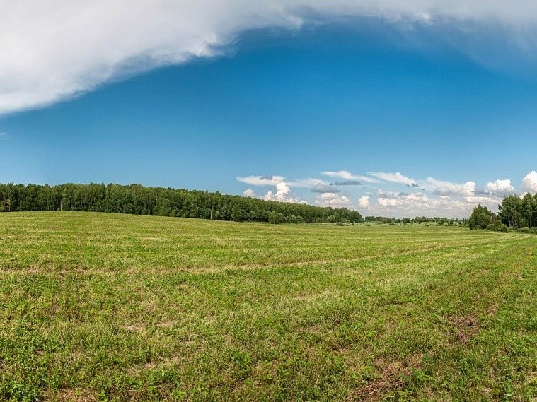 Торги по продаже земельных участков из земель сельскохозяйственного назначения.